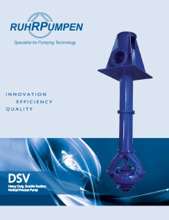 DSV立式过程泵手册- EN